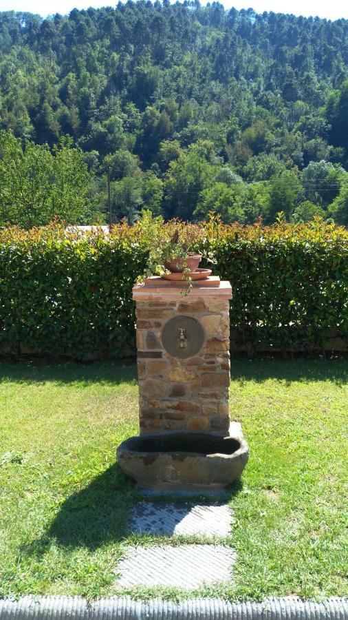 A Casa Di Patty Daire Lucca Dış mekan fotoğraf